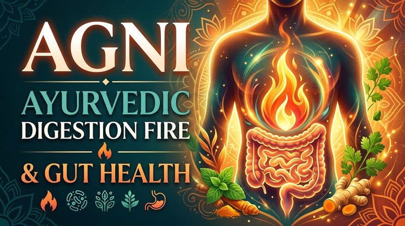 Translation missing: hi.A conceptual illustration of Agni, the Ayurvedic digestive fire, showing the transformation of food into cellular energy versus the creation of toxic Ama when the fire is weak