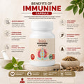 Infographic showing the health benefits of Immunine Capsule, including increased energy, strong body defense, and overall wellness.