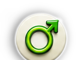 item 217