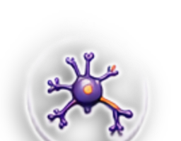 item 236
