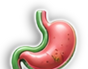 Digestion
