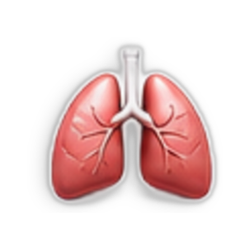 Translation missing: en.Lungs icon