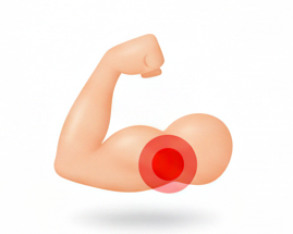 Translation missing: en.Muscle Building